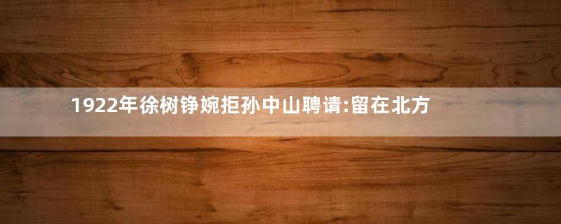 1922年徐树铮婉拒孙中山聘请:留在北方 作用更大